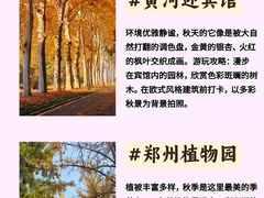 -河南省黄河迎宾馆