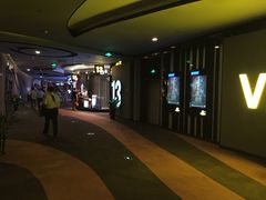 -万达影城(汉街万达广场IMAX店)