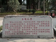 -榴花公园