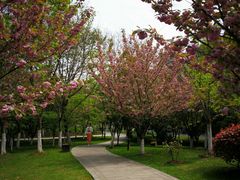-江南大学(蠡湖校区)