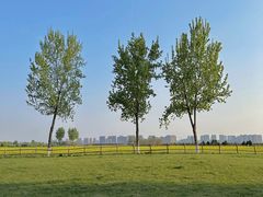 -汉长安城未央宫国家考古遗址公园