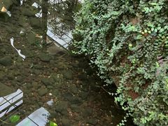 -金稼园·金平湖农家菜