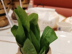 -第六季自助餐厅(北太平庄店)