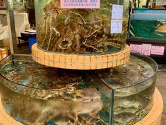-荔城生鲜盛宴(番禺旗舰店)