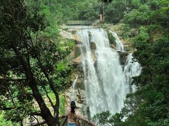 -海南热带雨林国家公园吊罗山景区