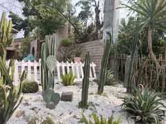 -三圣花乡旅游区