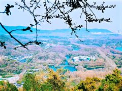 -九曜山