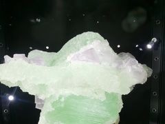 -中国地质大学逸夫博物馆