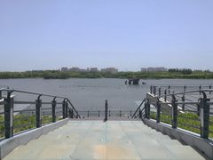 -大兴滨河森林公园