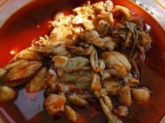 -老天桥蛙炉火锅(姑苏总店)