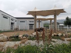-大青山野生动物园