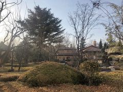 -青岛香根温泉酒店