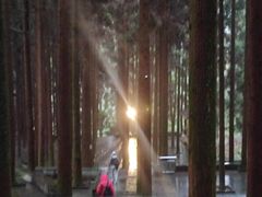 -娄山关景区