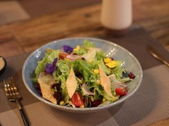 有机蔬菜沙拉-莫太花餐厅(河北路店)