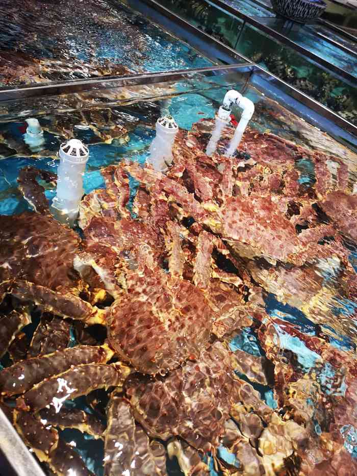 海中舟海鲜广场(花木店)-"先说交通吧 停车免费 离地铁站很近 就在.
