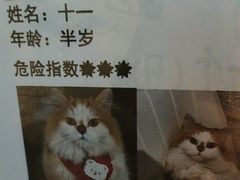 -逃脱反斗城沉浸剧情密室(北京路店)