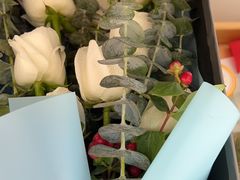 -蝶舍·MAISON PAPILLON