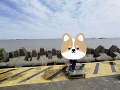 -上海滨江森林公园