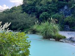 -上海吴淞炮台湾国家湿地公园