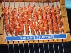 -很久以前羊肉串(长寿路星方汇店)