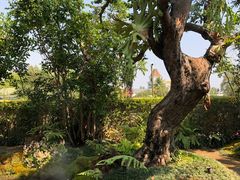 -Chom Cafe and Restaurant