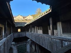 -雁南飞茶田景区