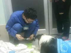 -北京派仕佳德动物医院·超导核磁·CT·神经科·骨科·内外科·急重症管理中心