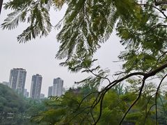 -重庆彩云湖湿地公园