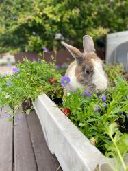 -小蜜蜂农场(凯德七宝购物广场店)