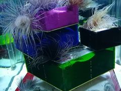 -太平洋海底世界