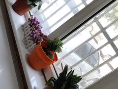 -宠福鑫动物医院·动物疾病诊疗中心(天通苑店)