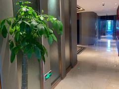 -青岛颐海花园酒店总店·自助餐厅
