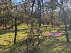 -森林公园(尖草坪区)