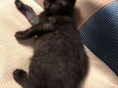 -爱侣宠医·鹦鹉专科·小型哺乳类·异宠专科(灵石路店)