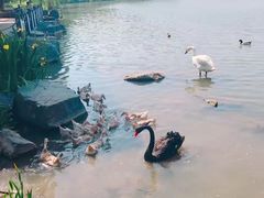-上海怡沁园度假酒店