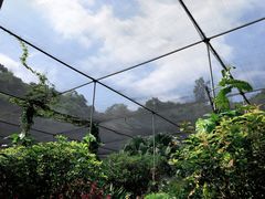 -水濂山森林公园