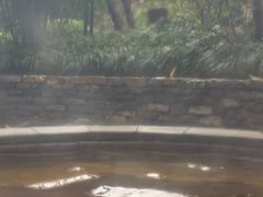 -融汇温泉