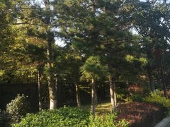 -金石唐风国际温泉会馆