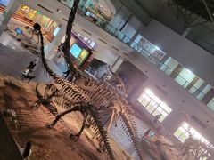 -自贡恐龙博物馆