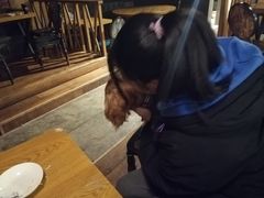-萌喵宠狗爱心宠咖