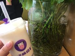 -一只酸奶牛(八一路店)