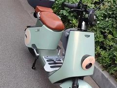 -绿源电动车(普陀专卖店)