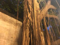 -文儒九号·闽菜馆(三坊七巷店)