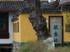 -范蠡湖公园