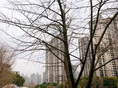 -苏州河梦清园环保主题公园