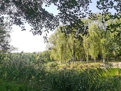 -大兴滨河森林公园