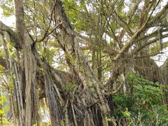 -白沙门生态公园