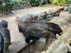 -长鹿旅游休博园