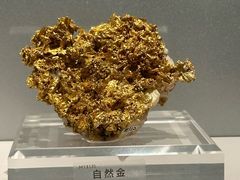 -中国地质博物馆