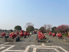 -嬉乐湾休闲旅游区
